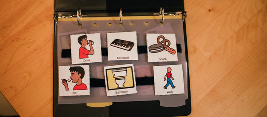More than Words: How Visuals Support Bilingual Learning