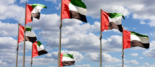 The Seven Emirates: A Simple Guide for Young Children